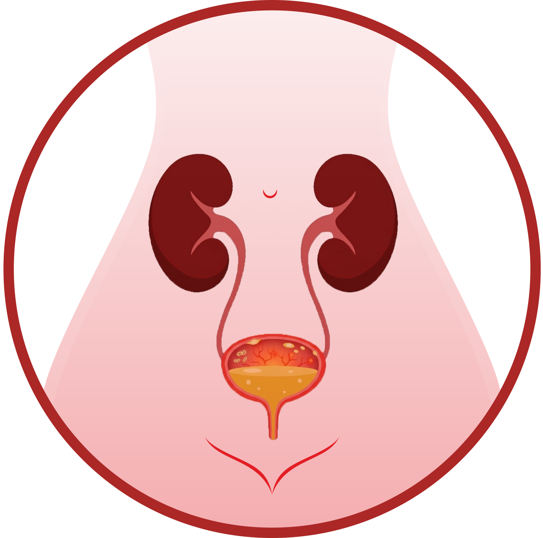 Шаг 2: действие Катарии